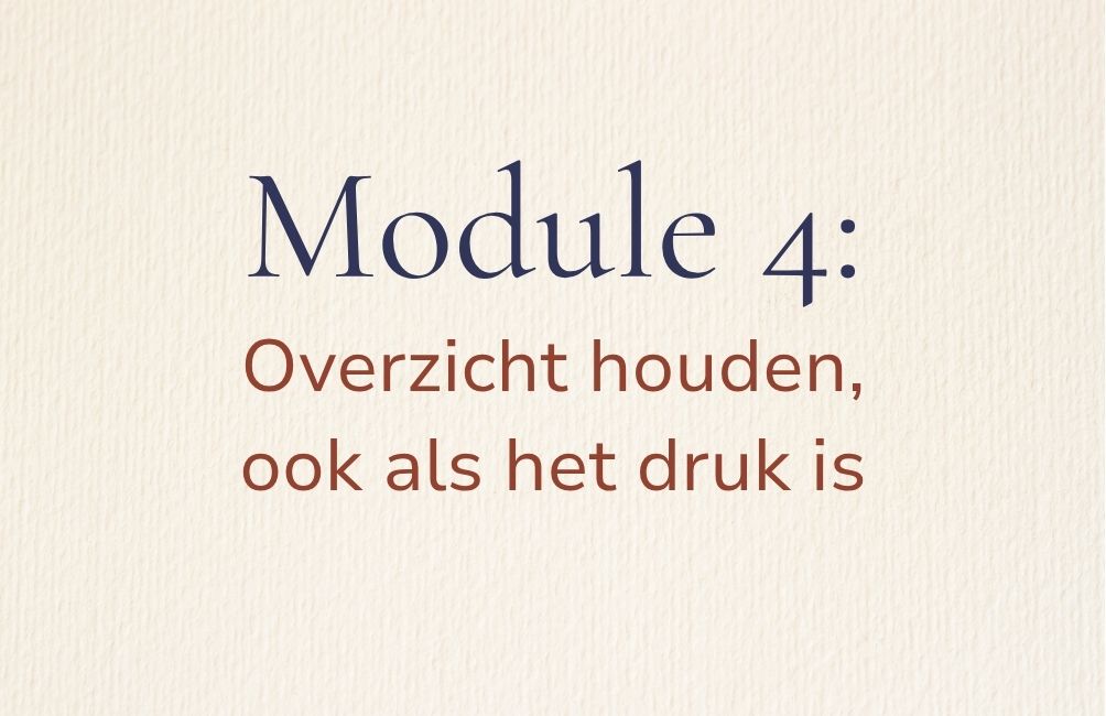 Module 4 Overzicht houden ook als het druk is